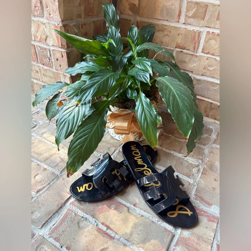 Sam Edelman Black Slide Sandals - Picture 3 of 8